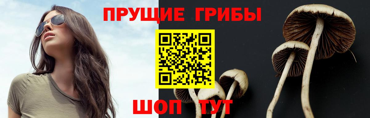 Псилоцибиновые грибы мухоморы  Вход с VPN  Полысаево 